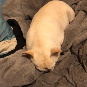 Meet your Posher, Richard